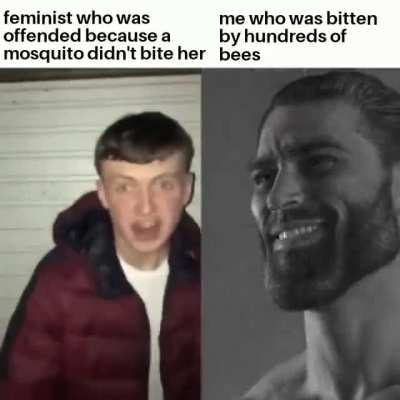 feminist gets triggered for everything
