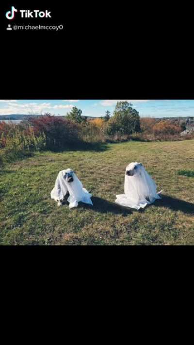 spoooooooky