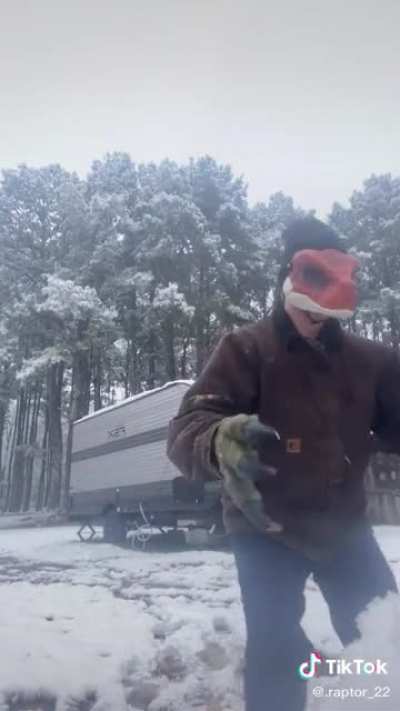 let it snow