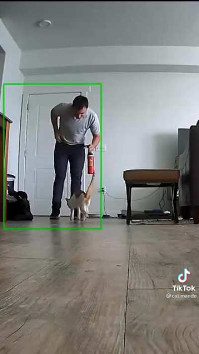 Cat&rsquo;s reaction to getting home from work