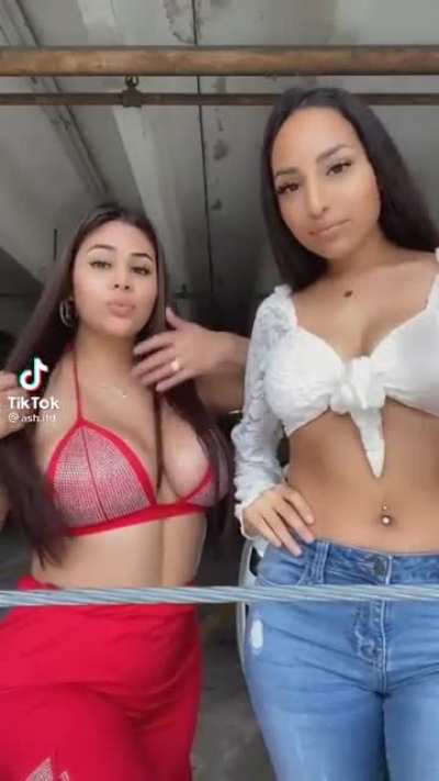 @ash.ltd &amp;amp; @morenitabby_ or @itsbianca