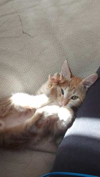 Does this count0?