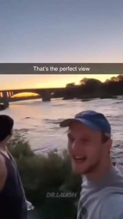 perfect view