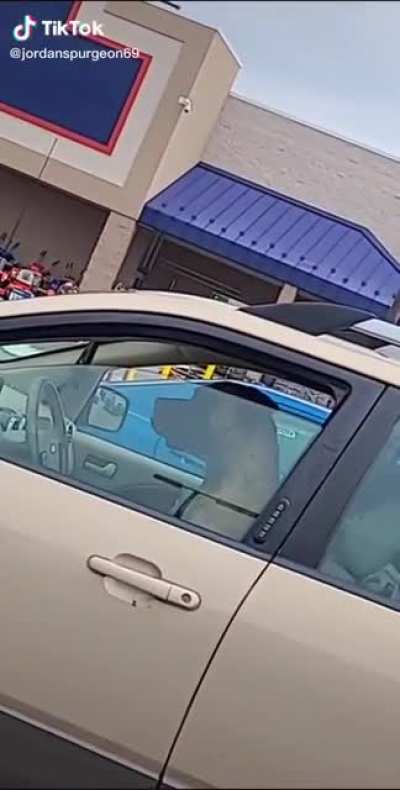 Hey! Where'd you learn how to drive?