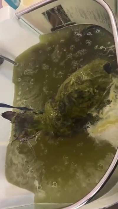 Mm stew 🤤