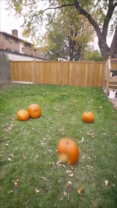 Guy turns into random objects