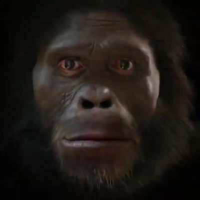 Monke