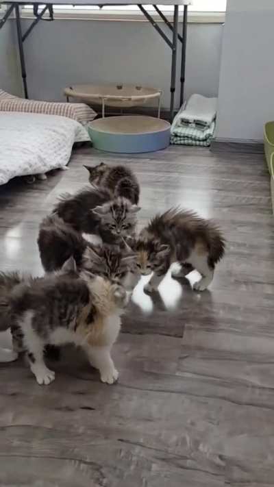 Can&rsquo;t we all get along?