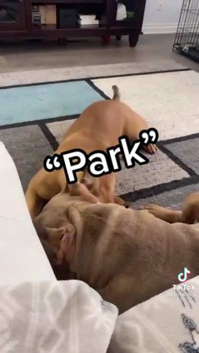 Did you hear that too?