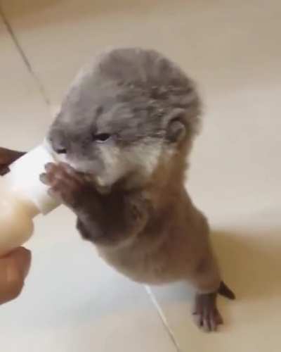 Precious