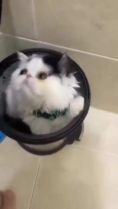 If I fits..