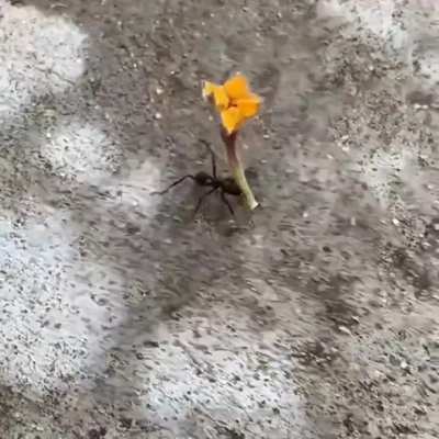 He has a date..
