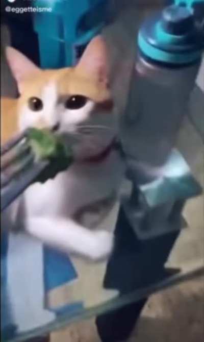 Poor guy