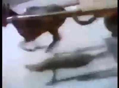 Tesla in Pakistan 😤😤😤😤