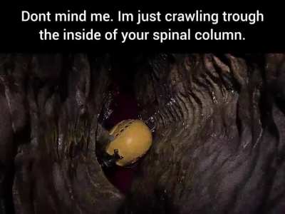 gotta get to the brain