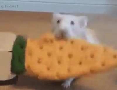 Yoink