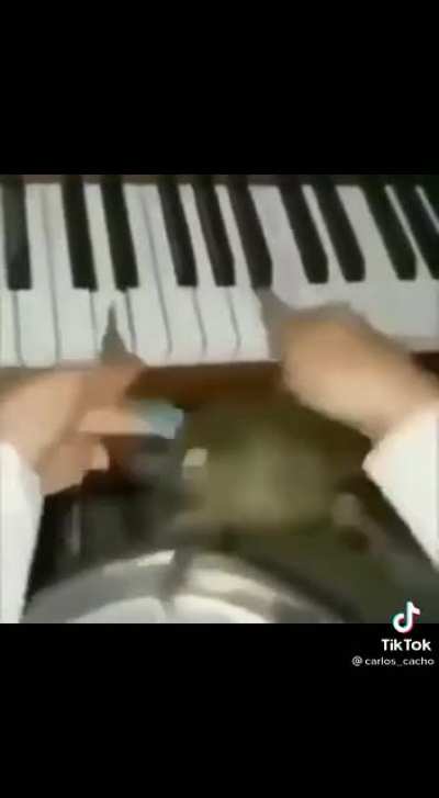SIIII 🔥🔥😎