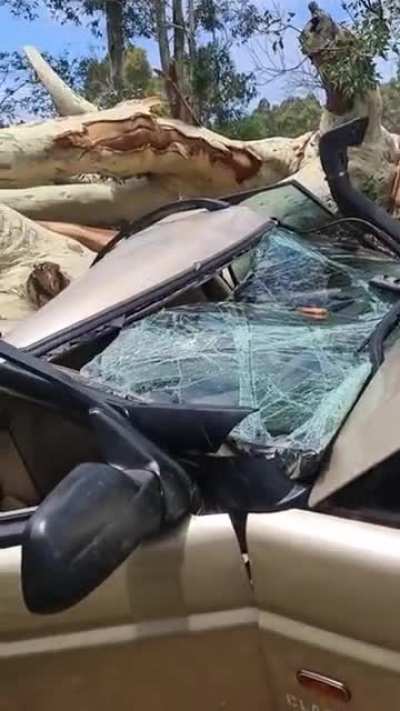 That&rsquo;s quite a bit of damage