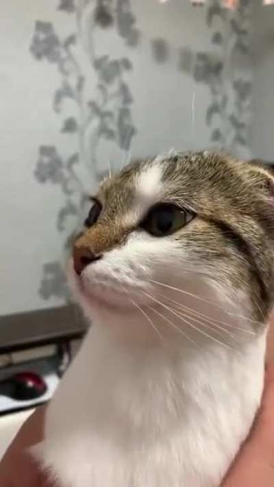 sadistliğim tuttu iftara kadar işkence &ccedil;ektirmek istiyom size hahaah
