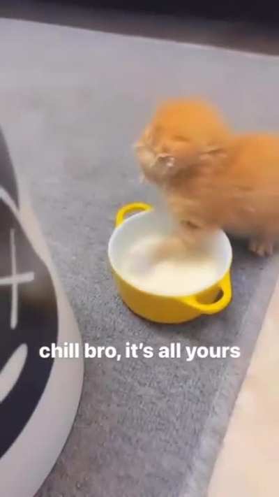 Cuando te pide el oral con amor pero no has comido en 1 a&ntilde;o