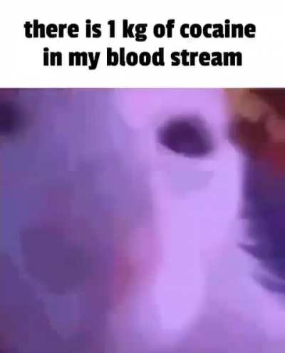 lol