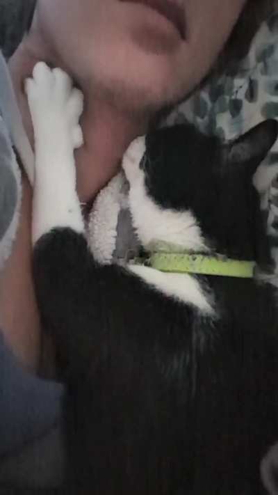 Neck biscuits