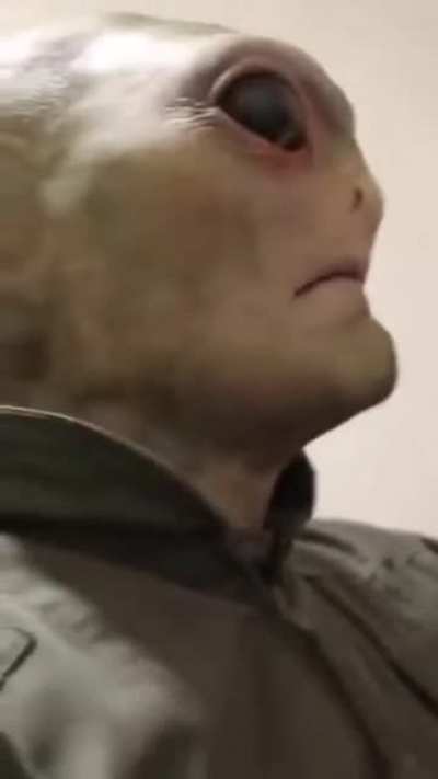 blursed_alpha centaurian