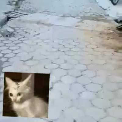 Motoboy