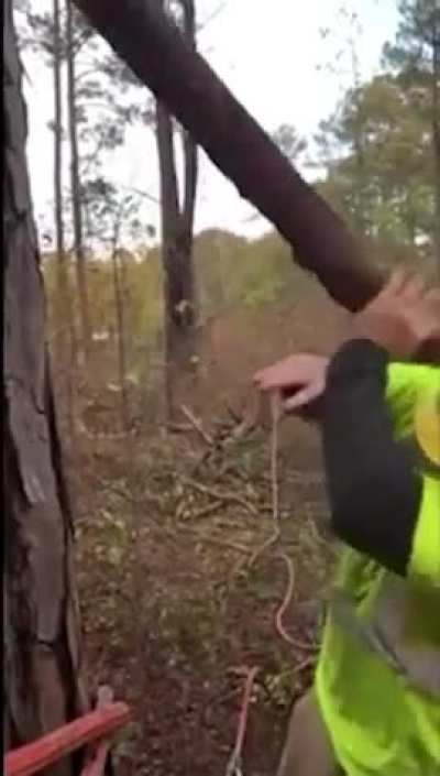 That&rsquo;s gotta hurt 