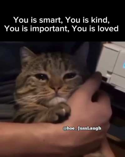 Awww