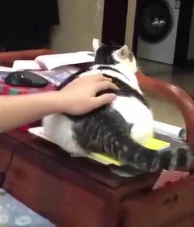 Отдача