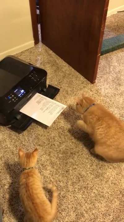 Stand back little one! I'll protect you!
