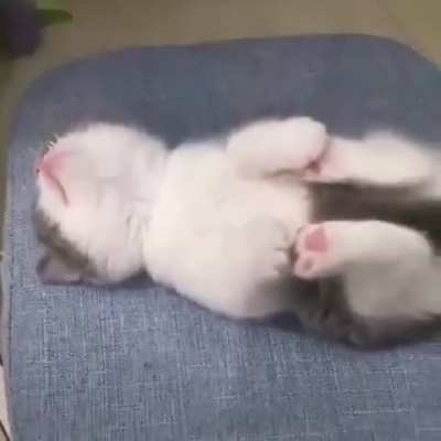 He holds his paws while he sleeps