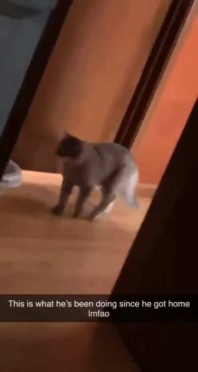 Kitty says &ldquo;Hello&rdquo;