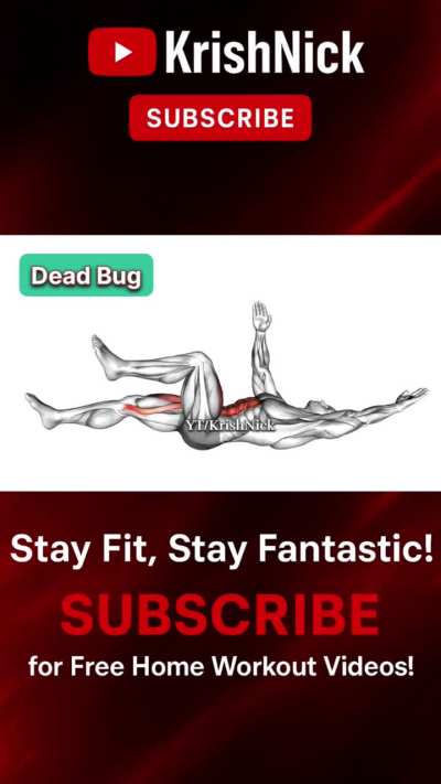 Dead Bug Exercise for Stronger Core &amp;amp; Stability