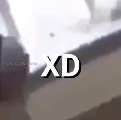 Xd