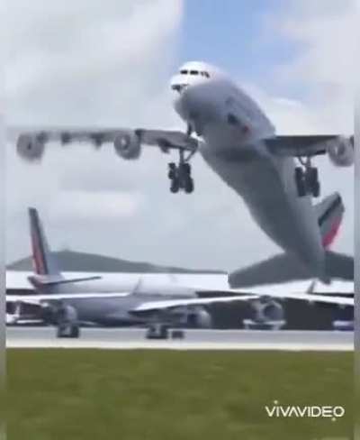 Birds And Airplanes