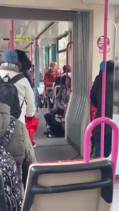 Sach mal, das ist hier ne Straßenbahn!