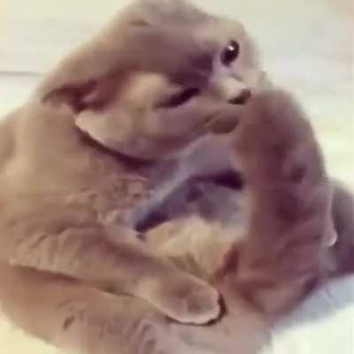 🥰