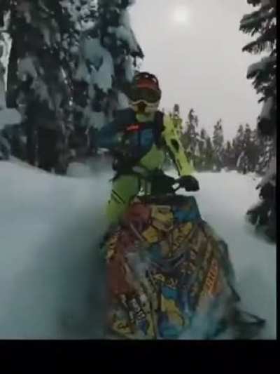 Riding snowmobile in the forest