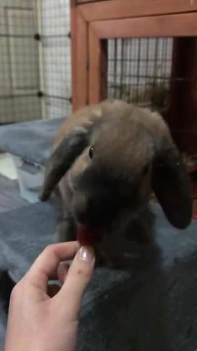 bunnadict&rsquo;s first strawberry