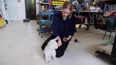 From Simone Giertz