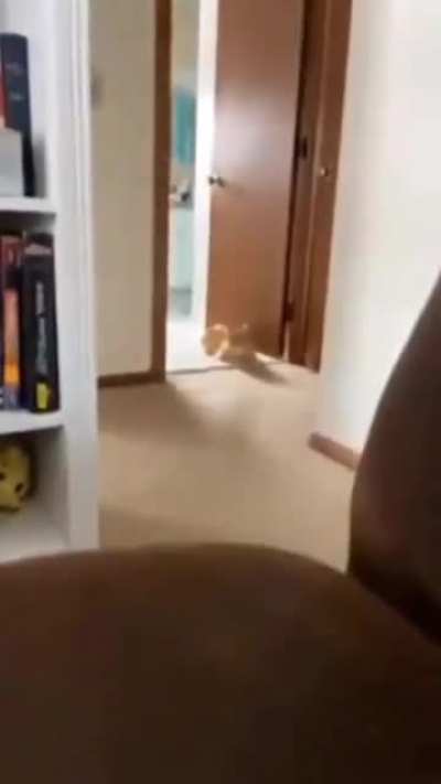 raaa-