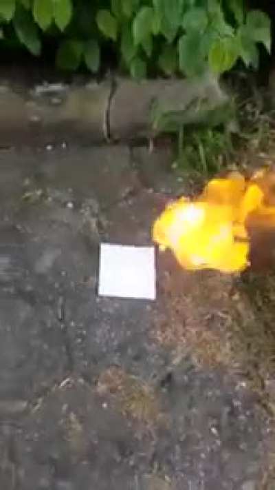HANS GET ZE FLAMMENWERFER!