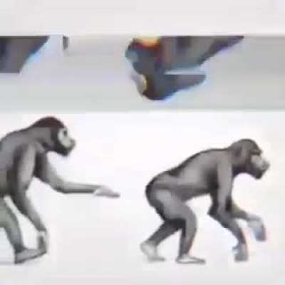 History channels at 3am be like :