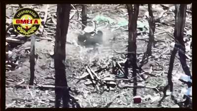 Fighters of the 1st separate detachment of the "OMEGA" conducted an aerial reconnaissance and discovered a fortified enemy position, where a ground-based kamikaze drone with a powerful charge was directed, Zaporozhye direction