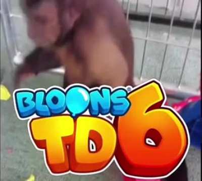 Funny Monke