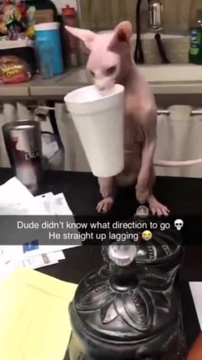 Error