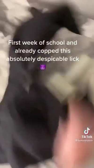 Ahh yes, let’s steal school equipment and post it on social media
