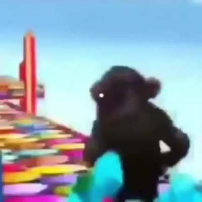 bear